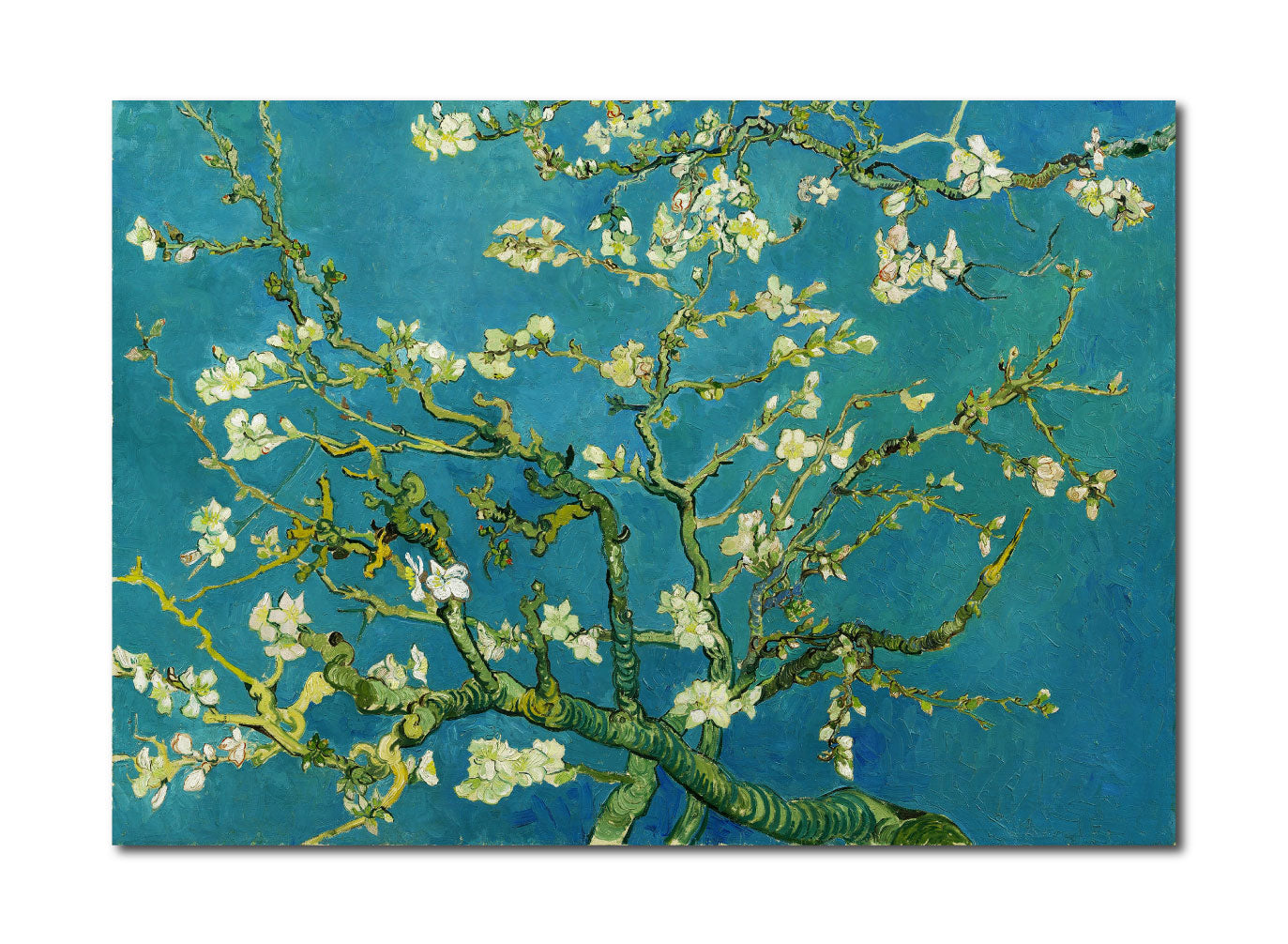 Puzzle 1000 Pezzi Eurographics – Van Gogh: Rami Di Mandorlo In Fiore – Dimensioni 67,6 X 49 Cm – Opera D'Arte Made In USA